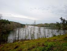 Mazury Stare Juchy działki 3000m2 w okolicach jeziora Garbas 5357644