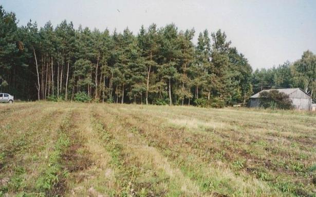 Działka, na sprzedaż, 23000 m2 5241829