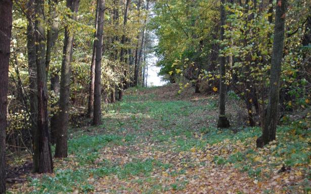 Mazury Stare Juchy działki 3000m2 w okolicach jeziora Garbas 5357645