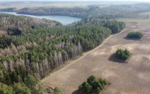 Mazury Stare Juchy działki 3000m2 w okolicach jeziora Garbas 5357647