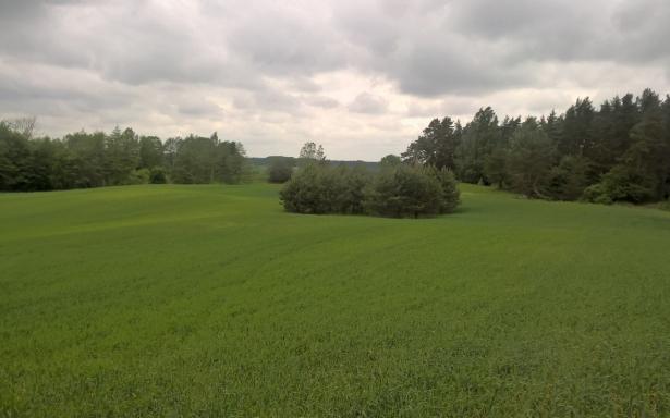 Mazury Stare Juchy działki 3000m2 w okolicach jeziora Garbas 5357649