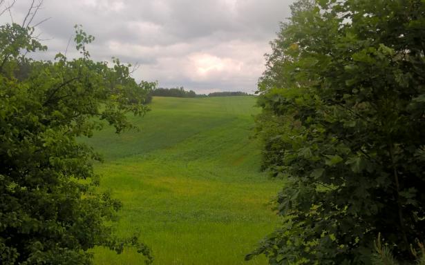 Mazury Stare Juchy działki 3000m2 w okolicach jeziora Garbas 5357653