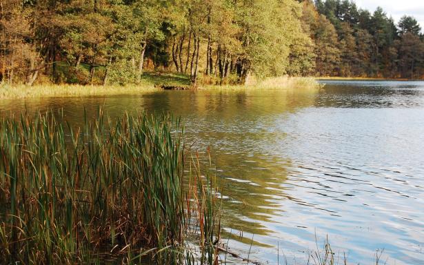 Mazury Stare Juchy działki 3000m2 w okolicach jeziora Garbas 5357657