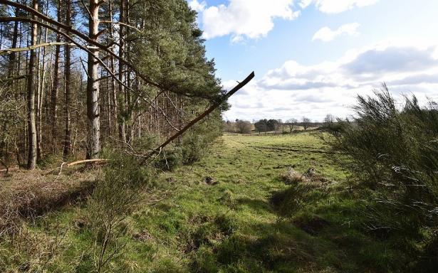 Sprzedam działki budowlane nad morzem w m. Bukowa pow. Smołdzino 5357687