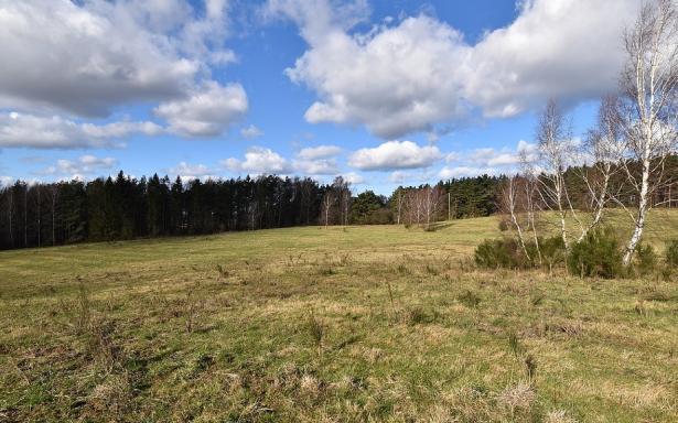 Sprzedam działki budowlane nad morzem w m. Bukowa pow. Smołdzino 5357688