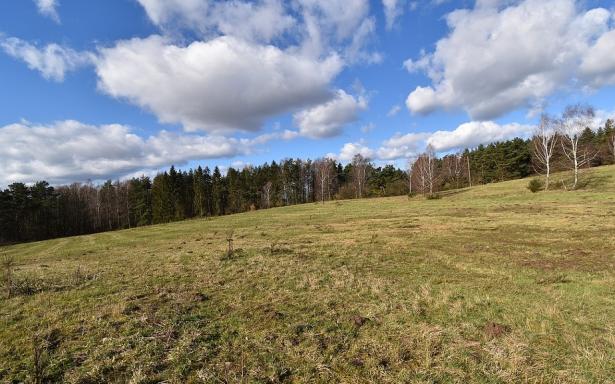 Sprzedam działki budowlane nad morzem w m. Bukowa pow. Smołdzino 5357691